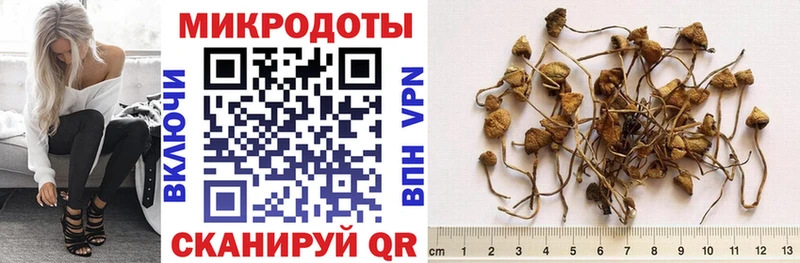 даркнет состав  Усолье  Галлюциногенные грибы Magic Shrooms 